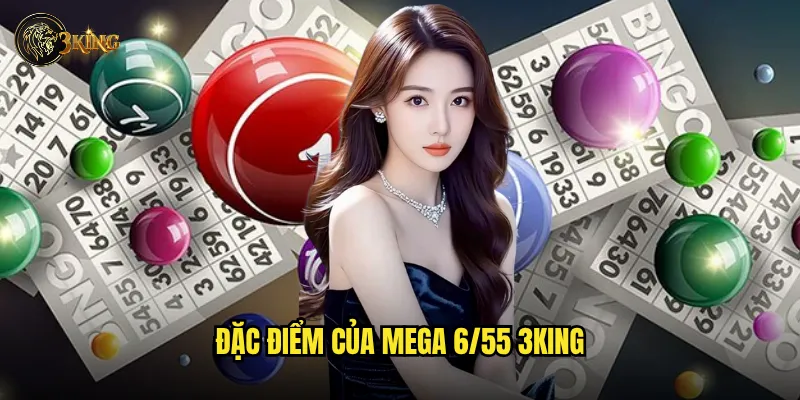 Đặc điểm của Mega 6/55 3king