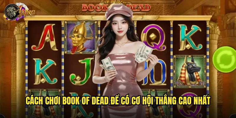 Cách chơi Book of Dead để có cơ hội thắng cao nhất